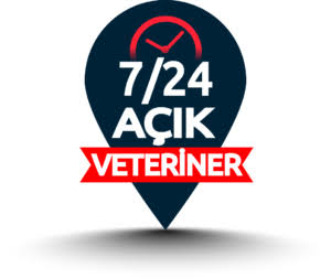 Antalya 7/24 Açık Veteriner Kliniği 